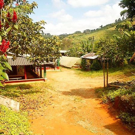 Caficultur -Alojamiento Rural Buenavista  Exterior photo
